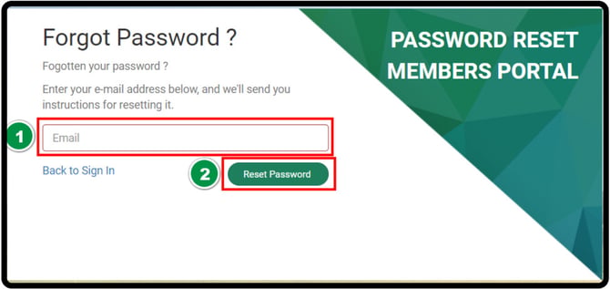 Forgot Password screen with the Email field and Reset Password button