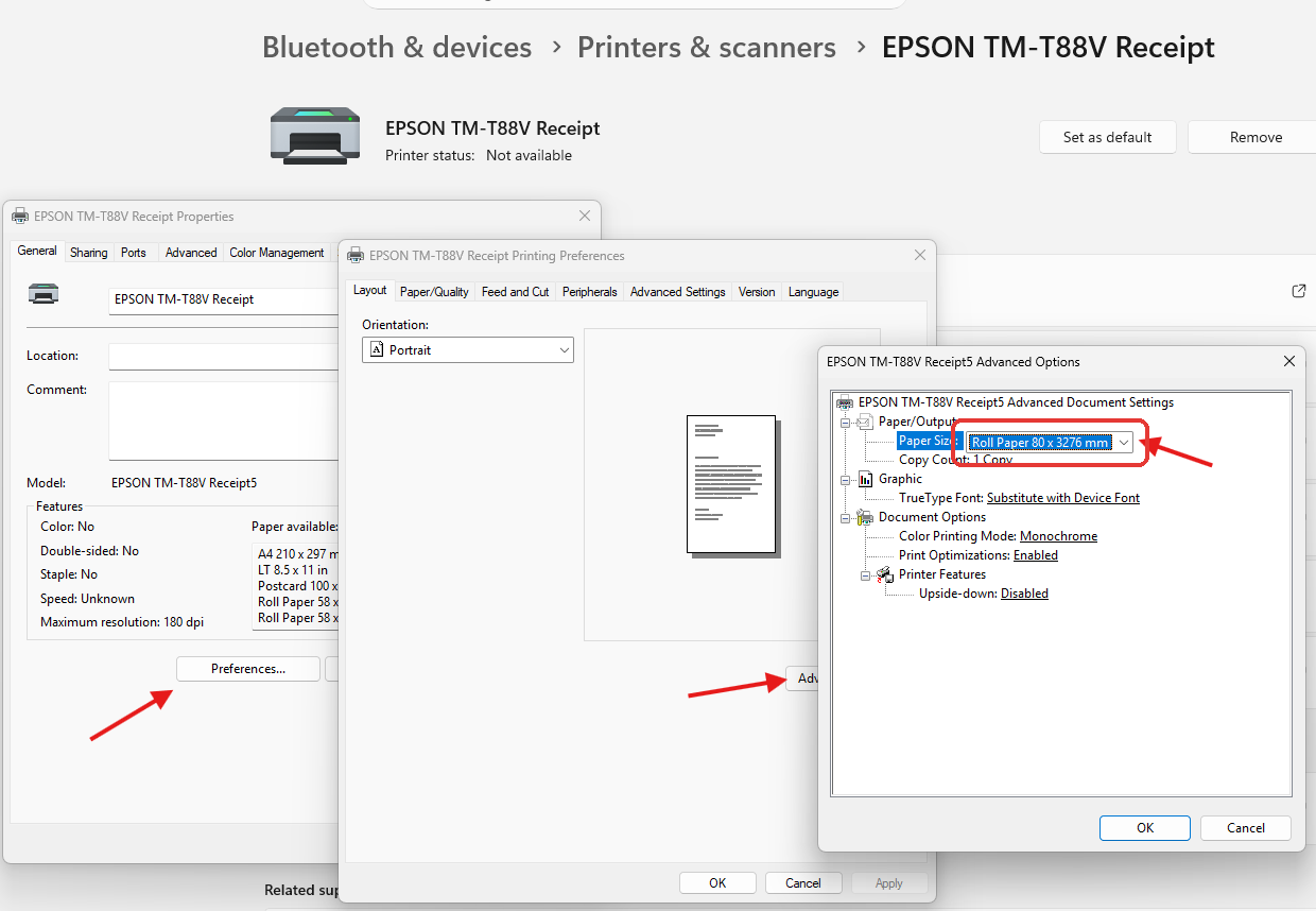 Epson TM-T88V Advanced Options with Paper Size set to Roll Paper 80 x 3276 mm